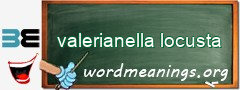 WordMeaning blackboard for valerianella locusta